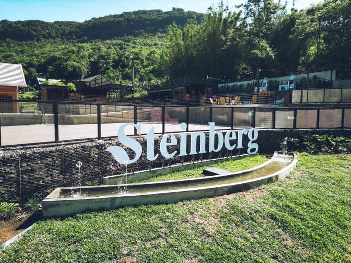 Steinberg — foto 13
